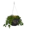 Mayne Caprio Hanging Planter - Black 3885-B - alternate 1